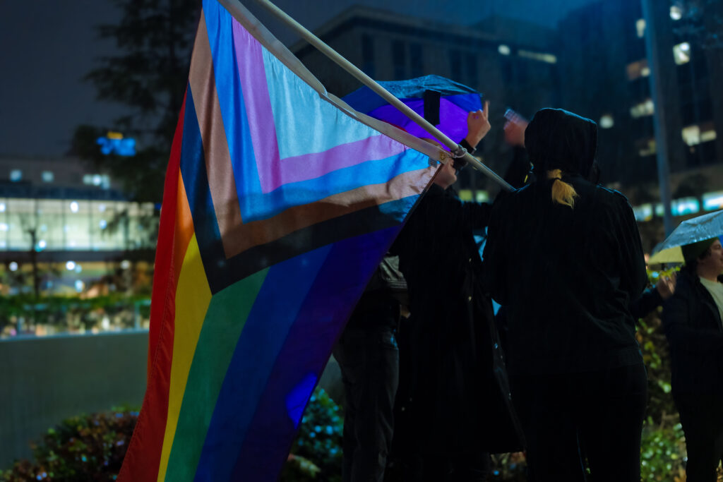 The picture is the pride flag of the colors red, yellow, green, blue, dark blue, light blue, purple, navy blue, and brown stripes.